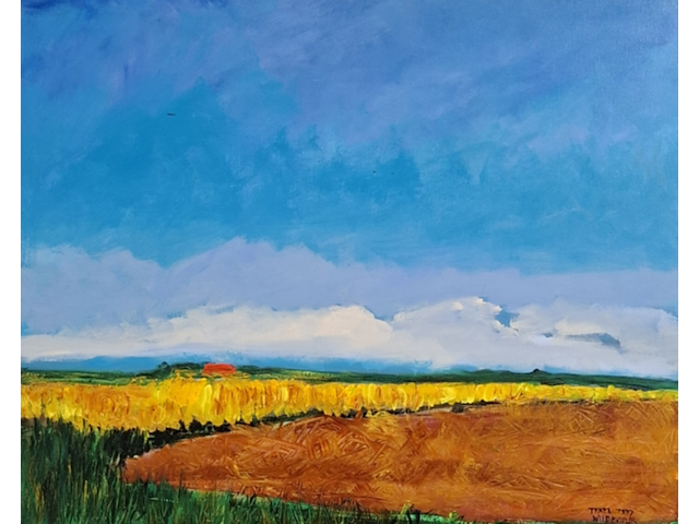 Acryl schilderij, maya wildevuur (1944-2023), texel, 2007 - afbeelding 1 van  8