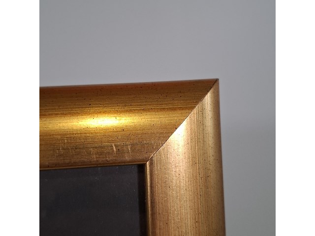 Acryl schilderij, maya wildevuur (1944-2023), udaipur india, 2002 - afbeelding 7 van  9