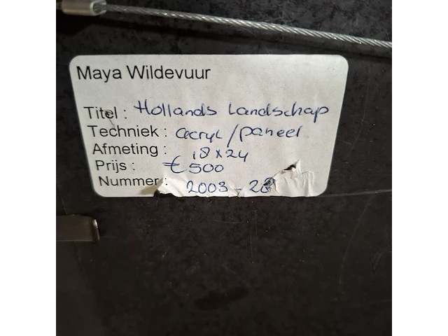 Acryl schilderij, maya wildevuur, hollands landschap, 2003 - afbeelding 8 van  8