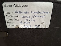 Acryl schilderij, maya wildevuur, hollands landschap, 2003 - afbeelding 8 van  8