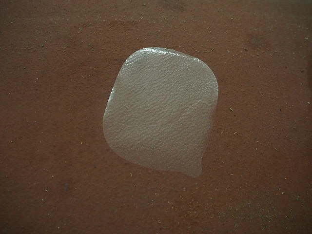 Adapa - afbeelding 6 van  7