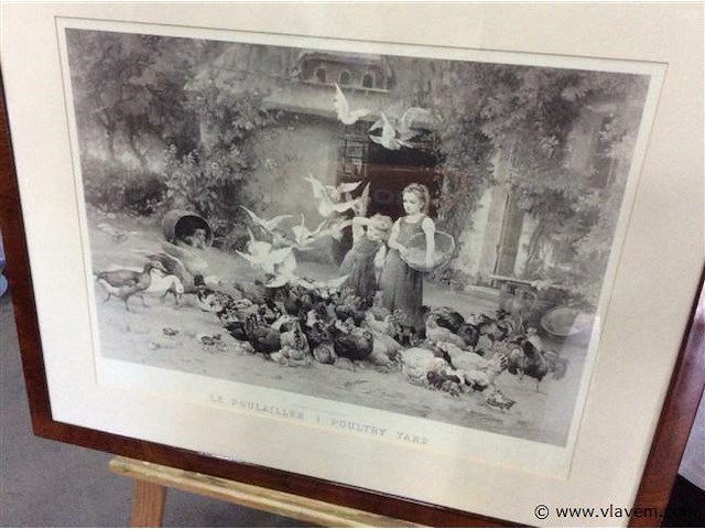 Adruk kippen - afbeelding 1 van  2