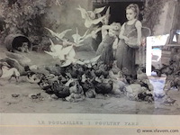 Adruk kippen - afbeelding 2 van  2