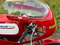 Aermacchi harley davidson 250cc racer - afbeelding 3 van  19