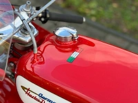 Aermacchi harley davidson 250cc racer - afbeelding 11 van  19