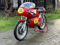 Aermacchi harley davidson 250cc racer