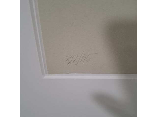 Afbeelding in lijst, 32/45, 1986 - afbeelding 9 van  11