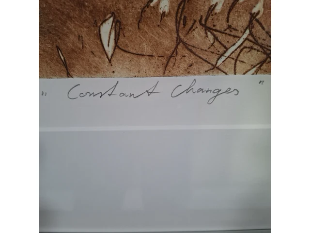 Afbeelding in lijst, ad arma, constant changes ii, 2001 - afbeelding 5 van  8