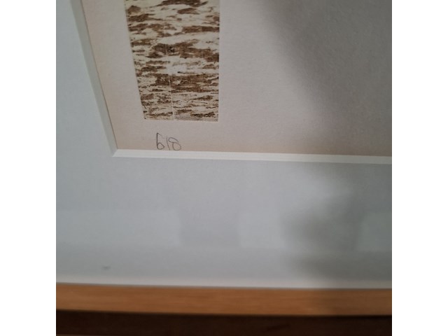 Afbeelding in lijst, frans de jong, aquarium - afbeelding 5 van  8