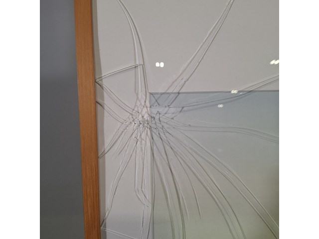 Afbeelding in lijst, g. neven, wadden 1, 1991 - afbeelding 5 van  6