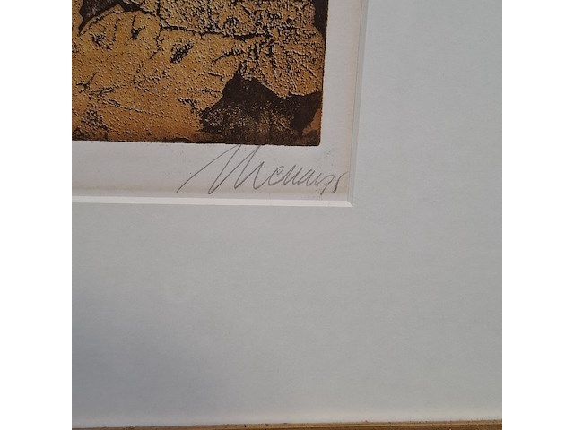 Afbeelding in lijst, j. m. sanchez menan, maladiesses pour etes 17/30 - afbeelding 4 van  8