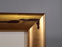 Afbeelding in lijst, j. m. sanchez menan, maladiesses pour etes 17/30 - afbeelding 6 van  8