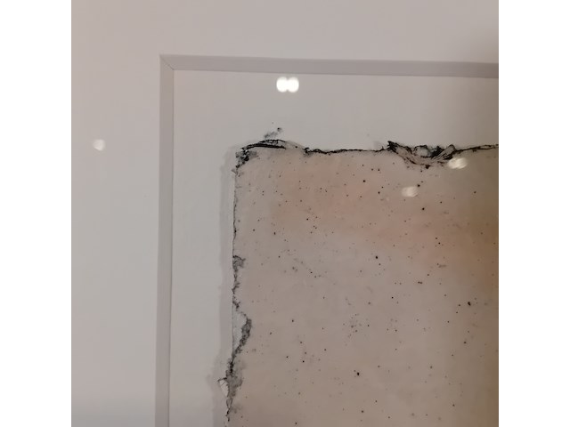 Afbeelding in lijst, j. v.d. horst, 1982 - afbeelding 4 van  7