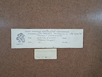 Afbeelding in lijst, j.m. sanchez menan, ikarus labyniuth, 1979 - afbeelding 8 van  8