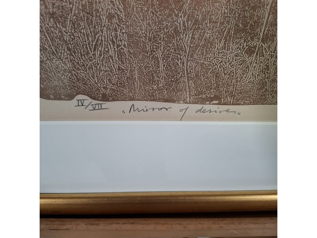 Afbeelding in lijst, j.m. sanchez menan, mirror of desires iv/vii - afbeelding 4 van  8