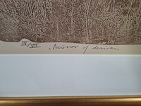 Afbeelding in lijst, j.m. sanchez menan, mirror of desires iv/vii - afbeelding 4 van  8