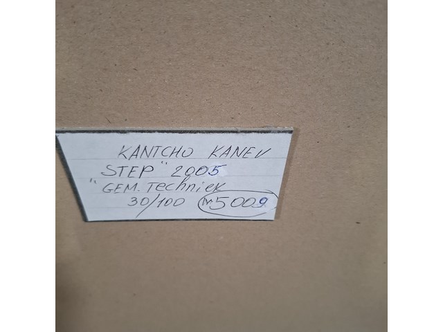 Afbeelding in lijst, kantcho kanev, step - 30/100, 2005 - afbeelding 9 van  9