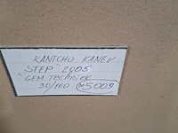 Afbeelding in lijst, kantcho kanev, step - 30/100, 2005 - afbeelding 9 van  9