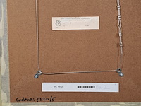 Afbeelding in lijst, mw. miller - v.d. zand - afbeelding 5 van  6