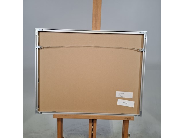 Afbeelding in lijst, paddy summerfield, landscape - afbeelding 7 van  8