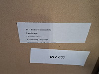 Afbeelding in lijst, paddy summerfield, landscape - afbeelding 8 van  8