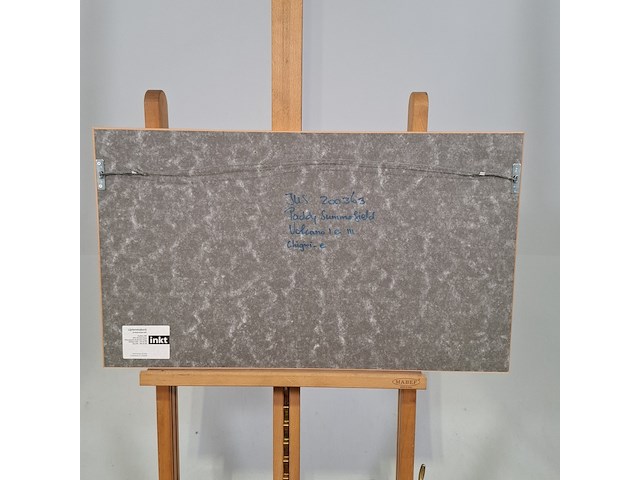 Afbeelding in lijst, paddy summerfield, volcano 1 and 3 - afbeelding 7 van  8