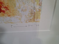 Afbeelding in lijst, piotr konkel, the horse - afbeelding 6 van  8
