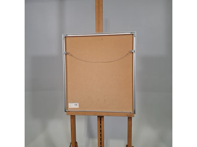 Afbeelding in lijst, piotr konkel, the horse - afbeelding 8 van  8