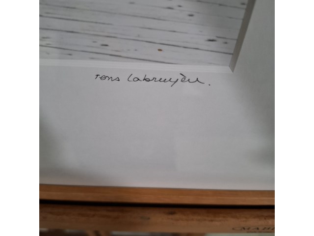 Afbeelding in lijst, rens labruyere, dr. a. philipszaal, 2004 - afbeelding 5 van  8