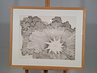 Afbeelding in lijst, wim compier, explosie ii - afbeelding 1 van  7