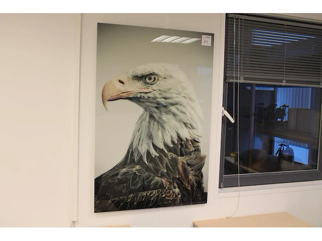 Afbeelding van adelaar op (plexi) glas 80 x 120 cm. - afbeelding 1 van  2