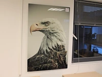 Afbeelding van adelaar op (plexi) glas 80 x 120 cm. - afbeelding 1 van  2
