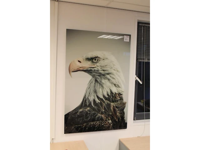 Afbeelding van adelaar op (plexi) glas 80 x 120 cm. - afbeelding 2 van  2