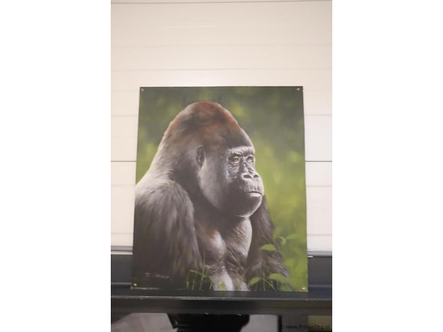 Afbeelding/schilderij by m. verhaar - 50x60cm - afbeelding 1 van  2