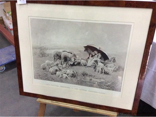 Afdruk schapen - afbeelding 1 van  2