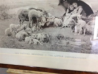 Afdruk schapen - afbeelding 2 van  2