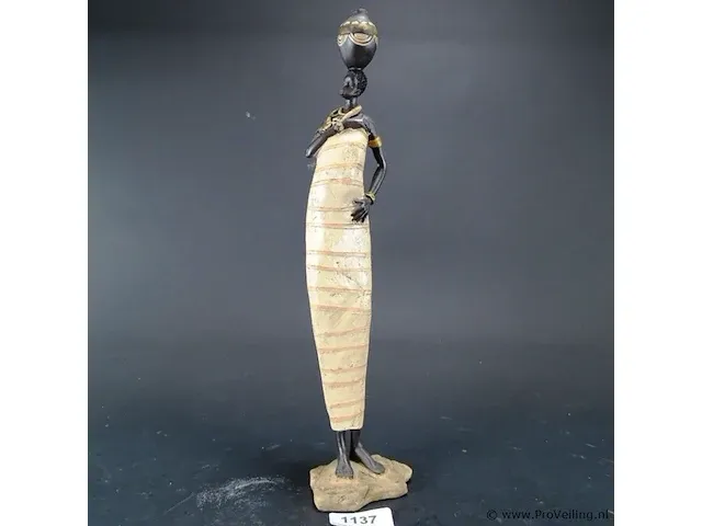 Afrikaanse waterdraagster - afbeelding 1 van  5