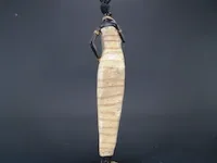 Afrikaanse waterdraagster - afbeelding 3 van  5