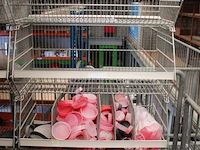 Afsluitdoppen - afbeelding 1 van  5