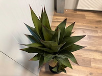 Agave kunstplant (2x) (125cm hoog) - afbeelding 13 van  13