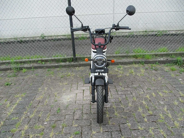 Agm - snorscooter - goccia gev1000 - e-scooter - afbeelding 5 van  11