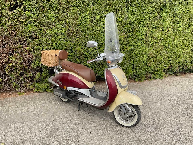 Agm snorscooter f-144-kv - afbeelding 1 van  14