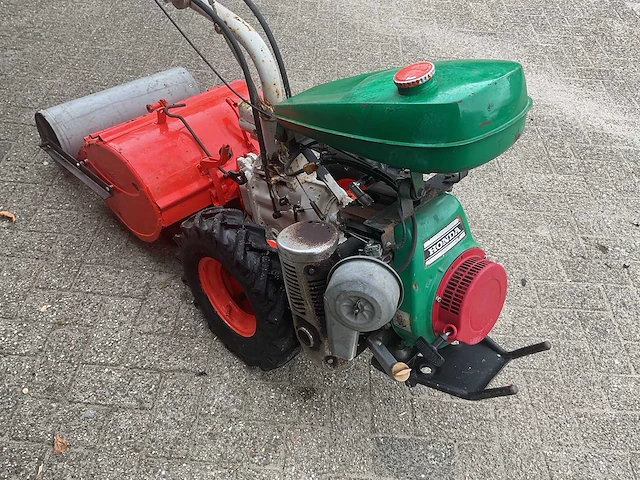 Agria tuinfrees - afbeelding 6 van  6