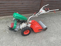 Agria tuinfrees - afbeelding 1 van  6