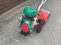 Agria tuinfrees - afbeelding 2 van  6