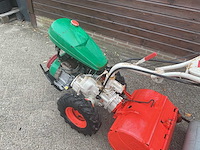 Agria tuinfrees - afbeelding 3 van  6