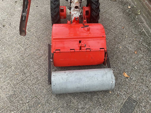 Agria tuinfrees - afbeelding 4 van  6