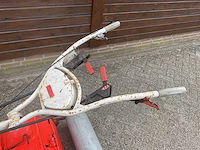 Agria tuinfrees - afbeelding 5 van  6