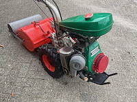 Agria tuinfrees - afbeelding 6 van  6