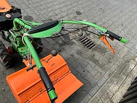Agria tuinfrees - afbeelding 2 van  11
